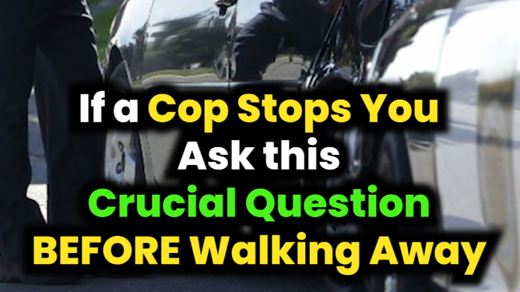 If a cop stops you, ask this crucial question BEFORE walking away